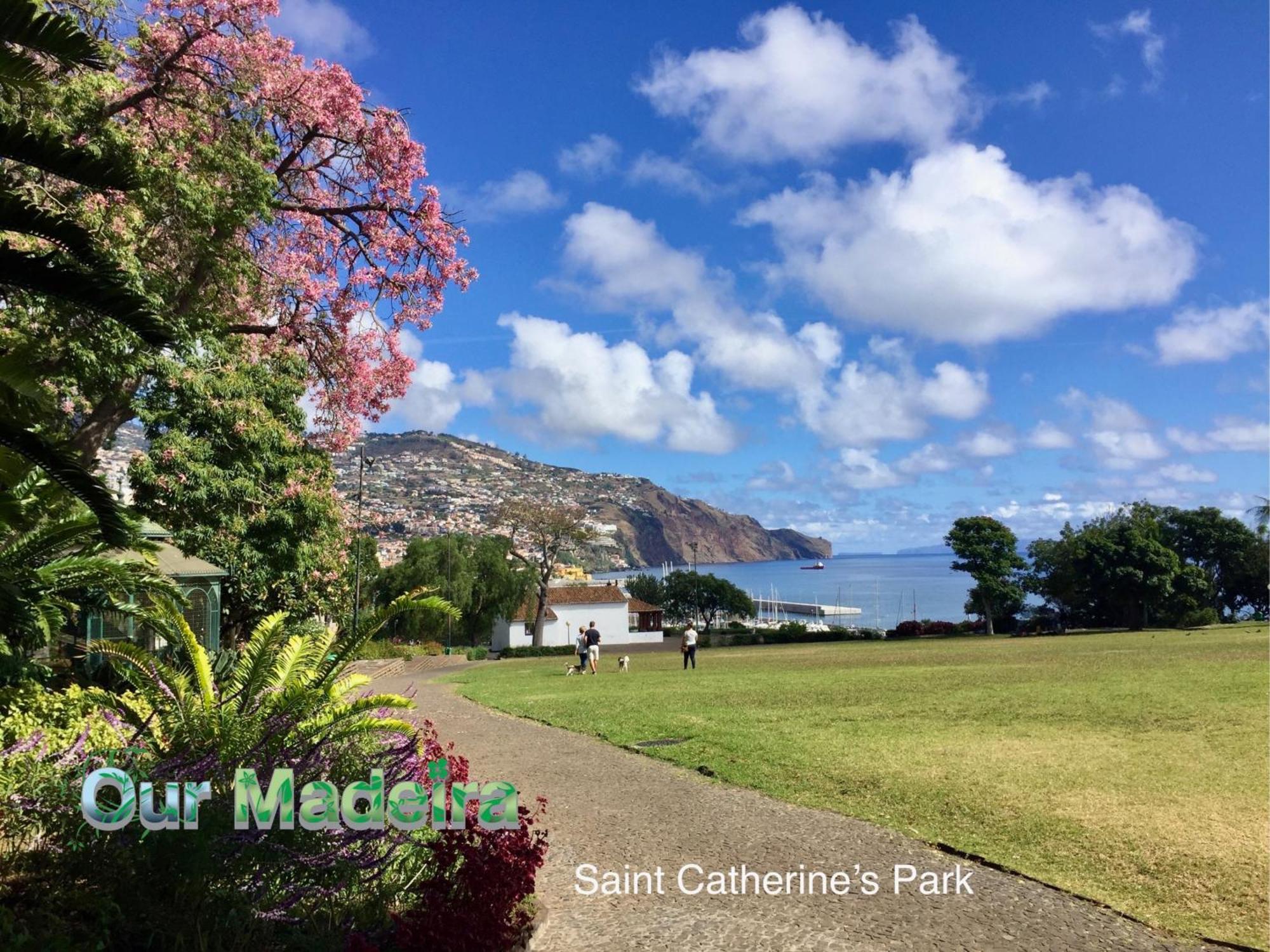 Ourmadeira - Heart Of Old Town I Apartment ฟุงชาล ภายนอก รูปภาพ