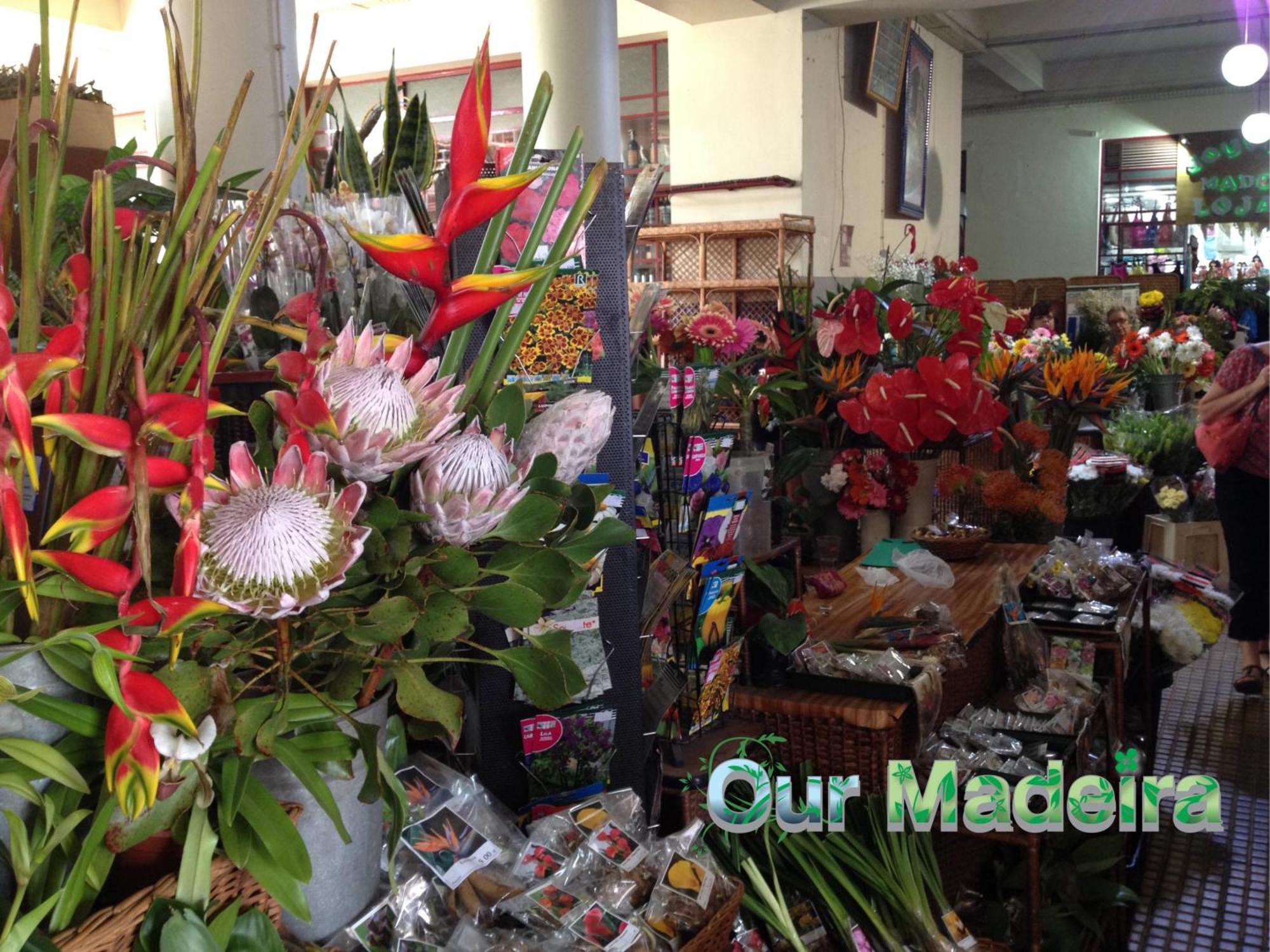 Ourmadeira - Heart Of Old Town I Apartment ฟุงชาล ภายนอก รูปภาพ
